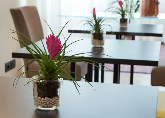 Parco Dell'adige בית הארחה