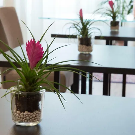 Parco Dell'adige Pensjonat